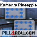 Kamagra Pineapple 20